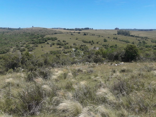 Imagen 10 de 16 de Campo En Carape - Departamento De Maldonado - Carape