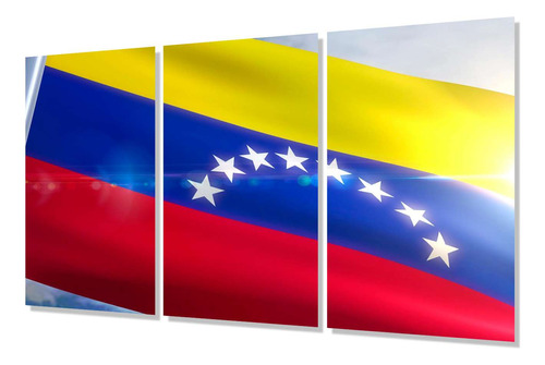Cuadro Trip 60x90 Bandera Venezuela Pais Latinoamerica M5