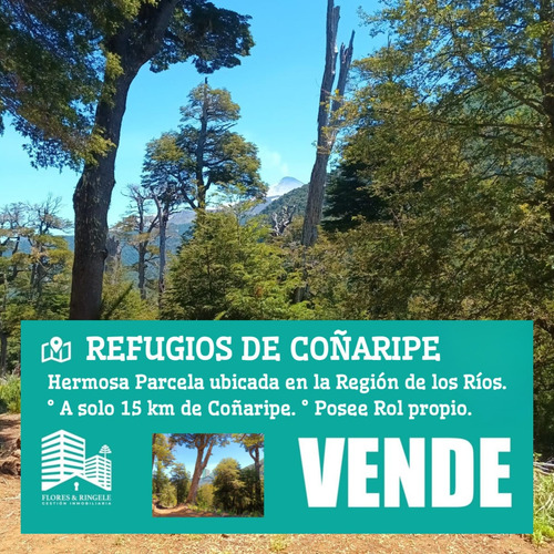 Hermosa Parcela En Los Refugios De Coñaripe
