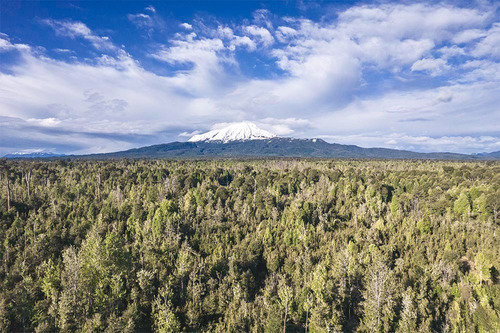 Parcela En La Poza - Puerto Varas