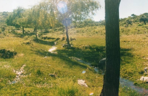 Imagen 17 de 22 de Traslasierra - Estancia Aguas Del Tala - Pueblo Ambul - Pampas Del Pocho - 383has Cercadas A La Venta En Una Zona De Crecimiento Constante - Mina Clavero - Cordoba