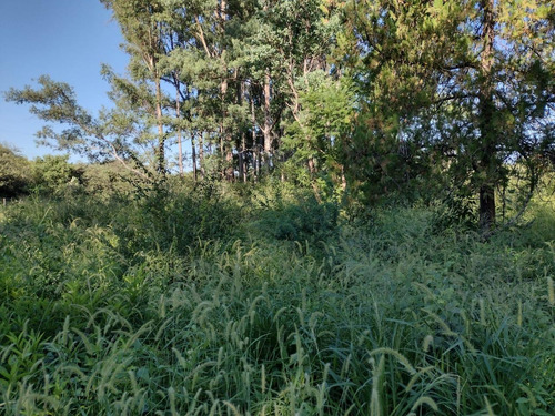Venta Campo 3200 Hectareas Santiago Del Estero