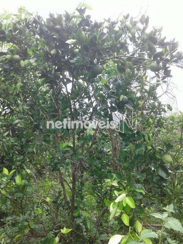 Imagem 17 de 29 de Venda Chácara Zona Rural Conceição Do Pará - 875793