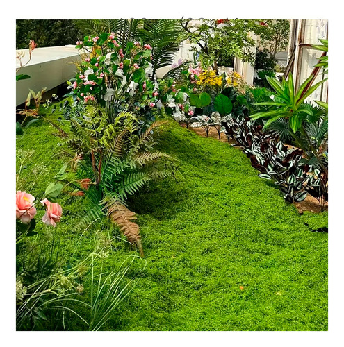 Musgo Artificial De Plantas Verde Musgo Sintético 1mt X 1mt