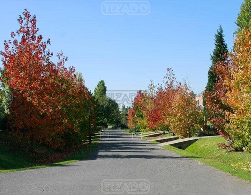 Terreno Lote En Venta En Santa Elisa, Pilar Del Este, Pilar