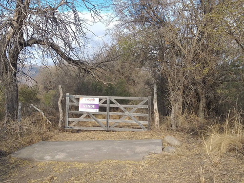 Media Hectárea En Punta Del Agua