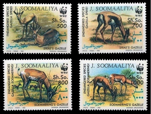 Fauna - Wwf - Somalia 1992 - Serie Mint - Yvert 382-385