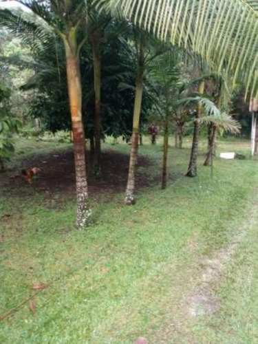 Imagem 11 de 14 de Chácara Com Espaço P/ Piscina E 01 Quarto. Itanhaém/sp