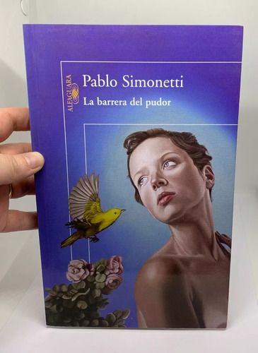La Barrera Del Pudor - Autor Pablo Simonetti