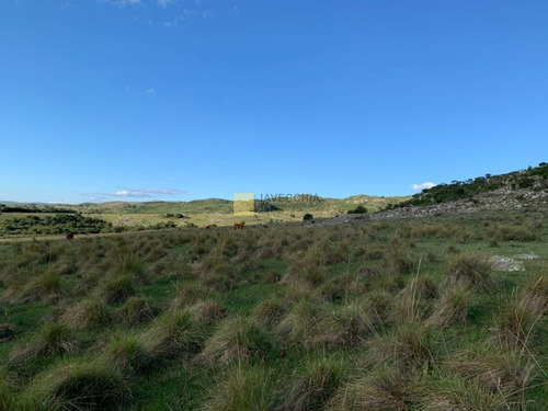 Imagen 10 de 20 de Venta De Campo De 80 Hectáreas Sobre Ruta 39