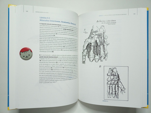 Libro Anatomía Quirúrgica De La Mano. Atlas Ilustrado 184a6