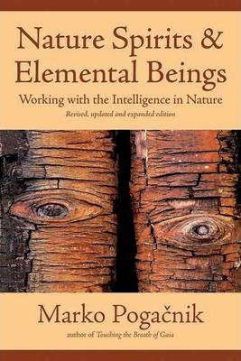 Libro Nature Spirits & Elemental Beings : Working With Th...