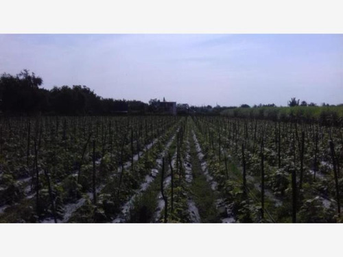 Imagen 10 de 10 de Venta Terreno Cuautlixco