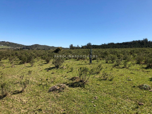 Campo En Venta Excelente Lugar- Ref: 3643