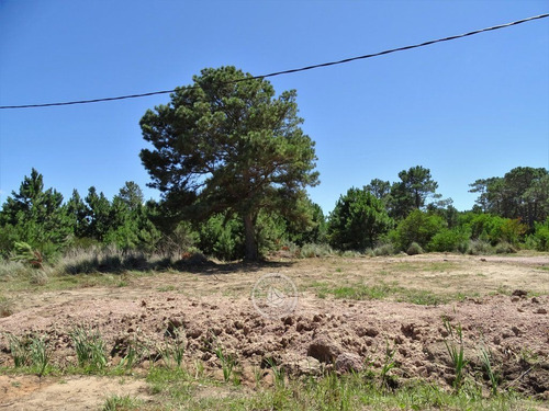 Imagen 5 de 6 de Terrenos En Zona Bosque, Varias Opciones En Punta Del Diablo