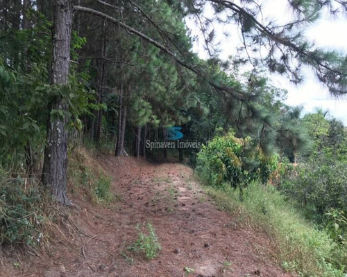 Imagem 29 de 30 de Sitio Em Jarinú Para Venda. - Região De Atibaia - Sp - Escritura Registrada, Definitiva! - St00250 - 69735918