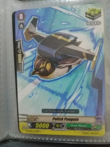 Polish Penguin Carta Vanguard