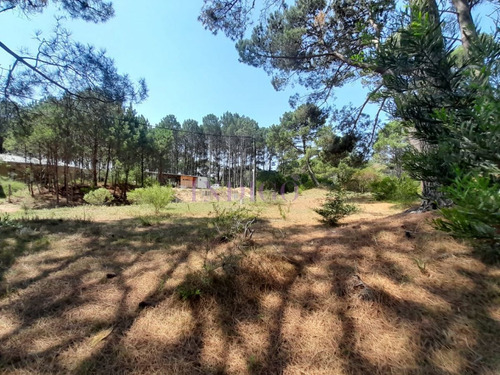 Imagen 3 de 16 de Venta De Lote En Barra Verde, La Barra, Uruguay - La Barra Barra Verde