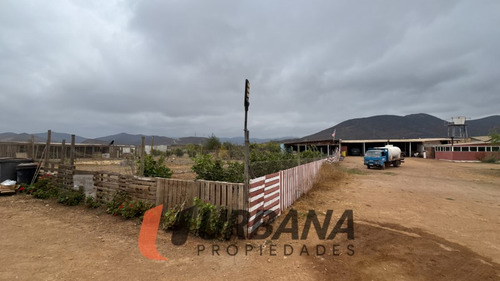 Amplia Parcela En Lomas De Quitallaco, Estancia Tambillos