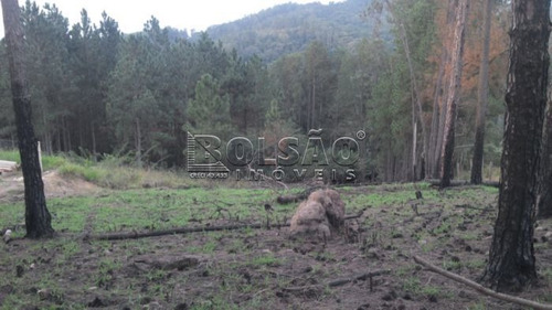 Imagem 3 de 4 de Terreno - Rosario - Ref: 20514 - V-20514