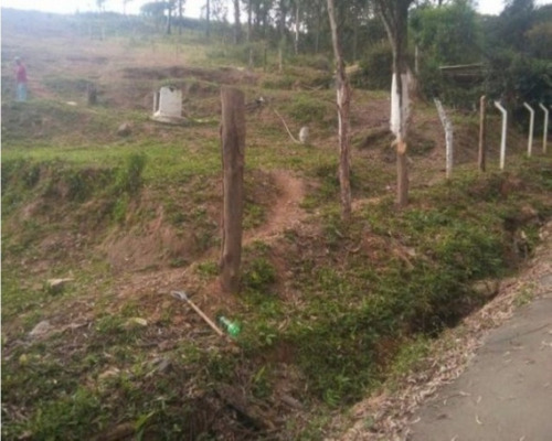 Imagem 6 de 12 de Terreno - Te-27 - 32142525