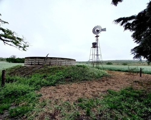 Se Vende Campo En Alpa Corral, Cordoba