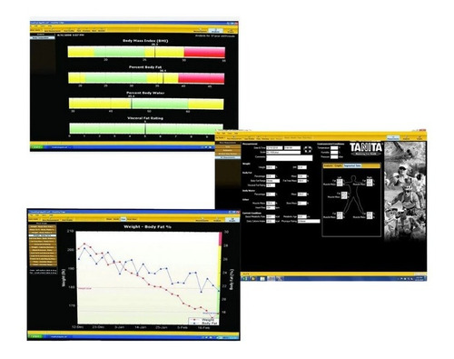 Bascula Tanita 603fs Composicion Corporal Con Software