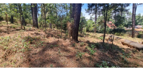 Terreno En Venta, Zona Avandaro