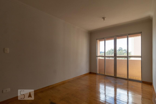 Apartamento À Venda - Jardim Jussara, 3 Quartos, 70 - S893124368