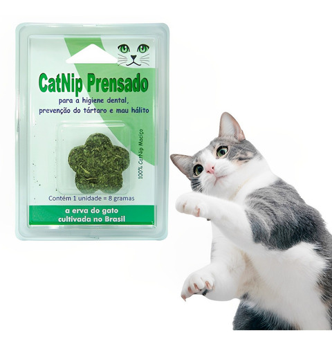 Catnip Para Gatos Erva Natural Cat Nip Petpira