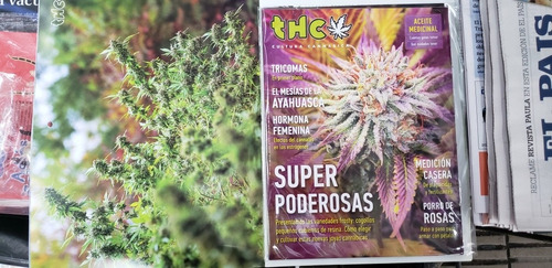 Revista Thc Argentina. Cultura Cannabica. Cultivo, Plantas