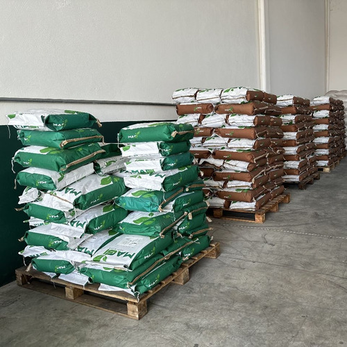 10 Kg Grama Batatais Em Sementes P/ Gramados
