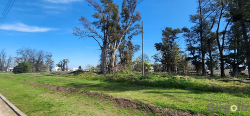 Terreno / Lote En Venta En El Polo Industrial De General Rodríguez