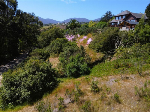 Sitio En Venta En Cachagua