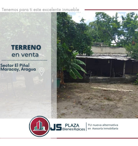 Imagen 4 de 10 de En Venta Terreno Amplio Oportunidad De Inversion El Limon 04144435954