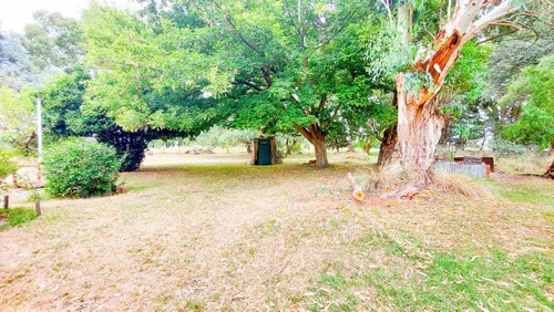 Imagen 25 de 26 de Venta Casa De Te - Vela - Tandil