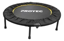 Comprar Mini Tramp Trampolin Profesional Cama Elastica Deporte Gym