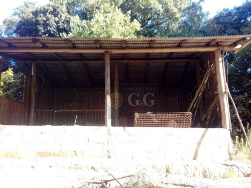 Imagem 10 de 11 de Sítio À Venda, 3600 M² Por R$ 85.000,00 - Águas Claras - Viamão/rs - Si0103