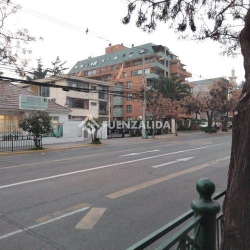 Departamento 3 Dormitorios - 2 Baños - Bod. - Est. ( Ñuñoa )