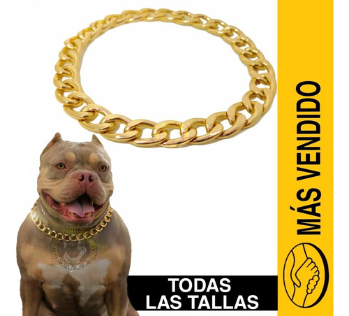 Cadena Para Perros Tipo Cubana Color Dorado Tipo Castigo