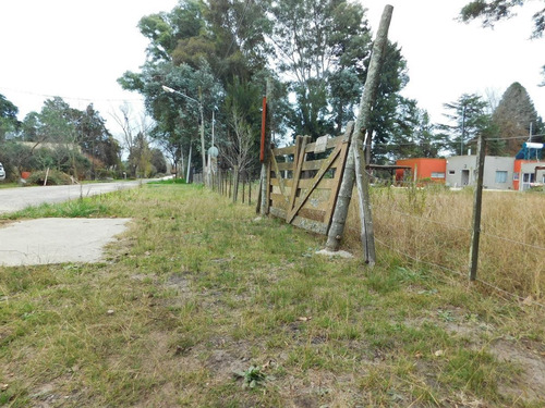 Imagen 7 de 12 de Venta - Lote Perimetrado - Parque Sakura - Exaltacion De La Cruz