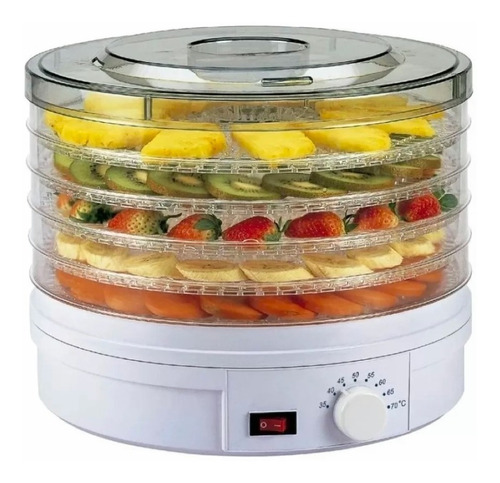 Deshidratador Automático Carnes Frutas Verduras