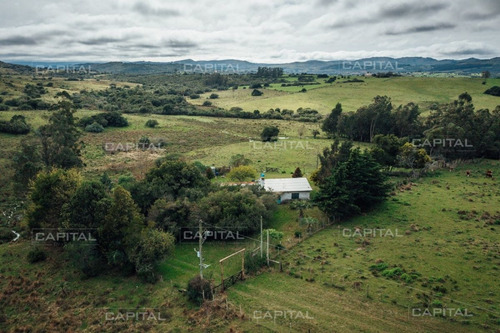 Imagen 15 de 15 de Chacra En Venta En Las Cañas - Zona Rural Las Cañas