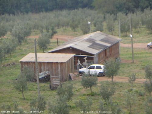 Imagem 4 de 15 de Oportunidade Para Investidor Para Venda Em Barra Do Ribeiro, Alto Douradilho - Barra Do Ribeiro - Rs, 6 Dormitórios, 1 Suíte, 5 Banheiros, 5 Vagas - 4014_1-2043950
