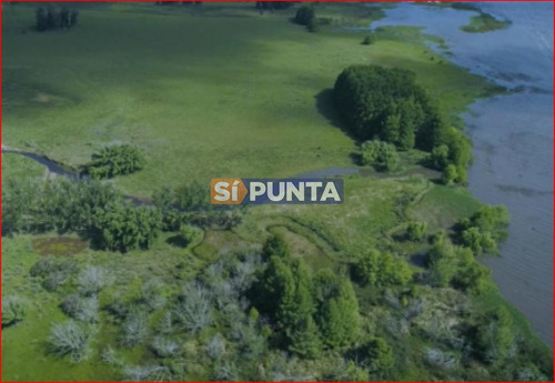 Imagen 6 de 7 de Chacra En Venta