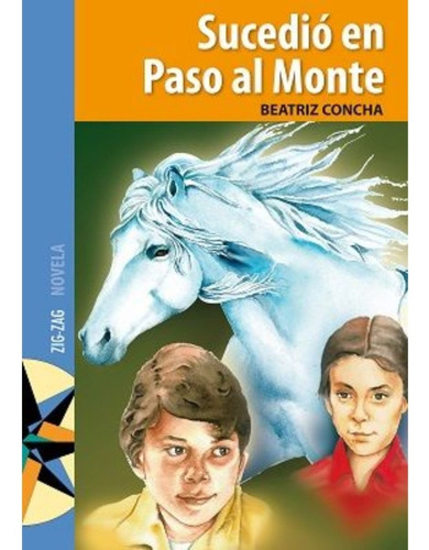 Sucedio En Paso Al Monte - Beatriz Concha