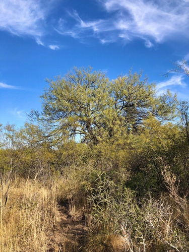 Imagen 7 de 23 de Lote 4553 M2 En Abracaral Reserva Ecológica - Posesion / San Javier - Traslasierra