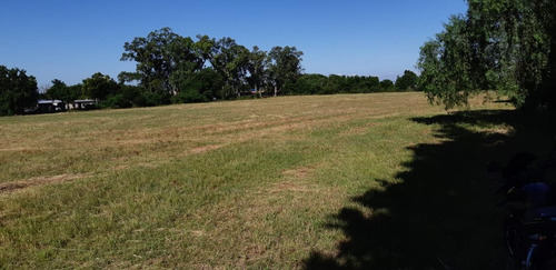 Imagen 5 de 6 de En Venta!! Campo Ideal Para Loteo!