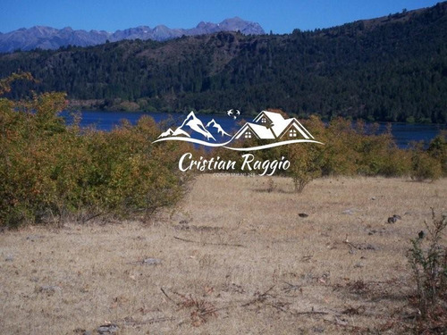 Imagen 9 de 30 de Terrenos De 1/2 Ha C/75 M Costa Lago Pellegrini Sobra Ruta En Cholila