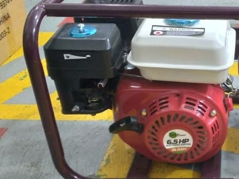 Imagen 7 de 10 de Motor Estacionario A Gasolina